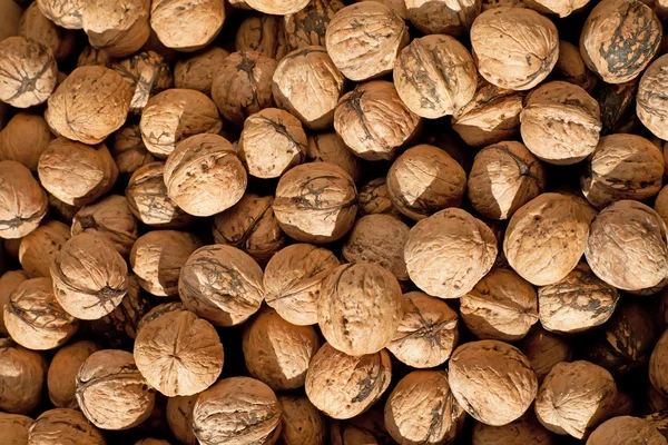 Background from walnuts — Stock Photo, Image
