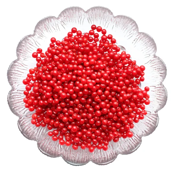 维伯纳姆红浆果 — 图库照片