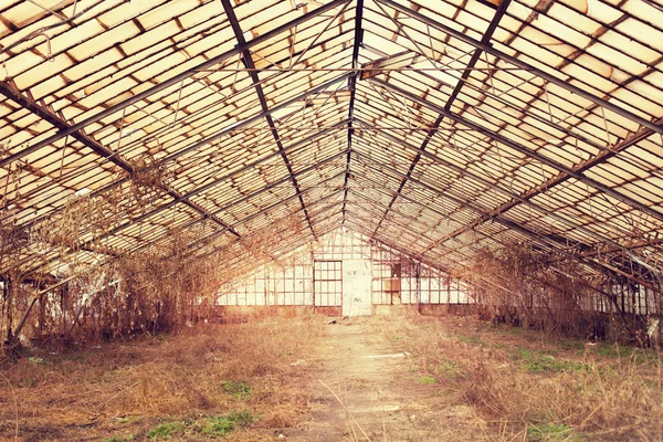 stock image Old abandoned hothouse