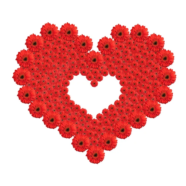 Coração de flores de gerbera vermelho isolado no fundo branco. Val. — Fotografia de Stock