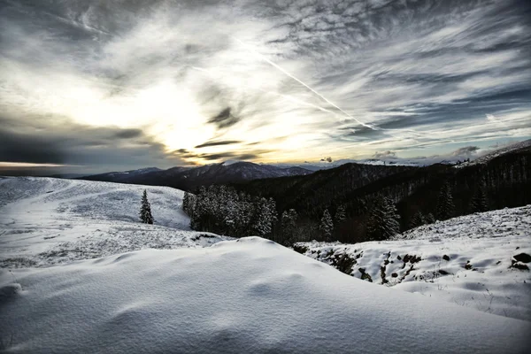 Stock image Winter landscape