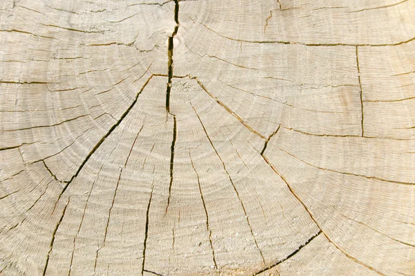 stock image Wooden background