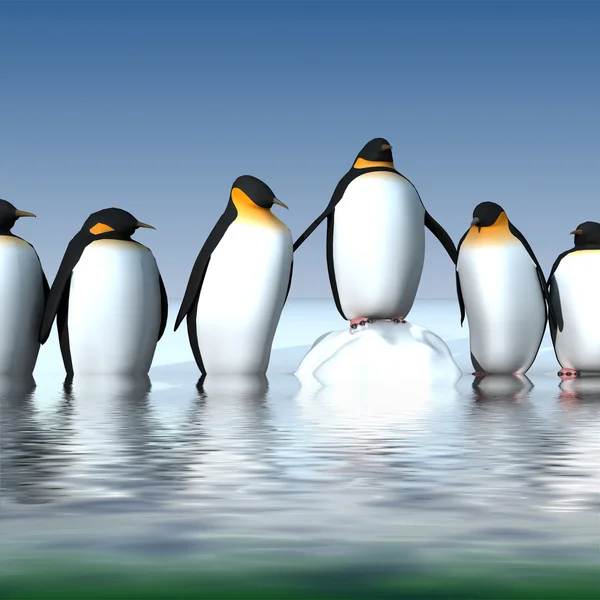 有趣的企鹅 — 图库照片