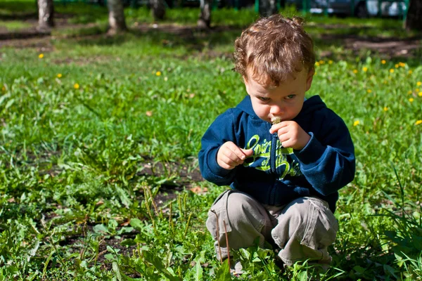 Cute baby blowing on a dandelion — Stock Photo, Image