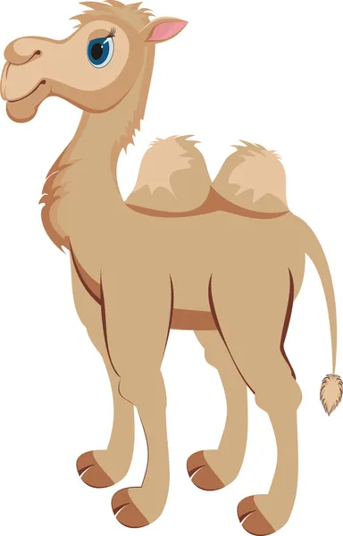 stock vector Camel
