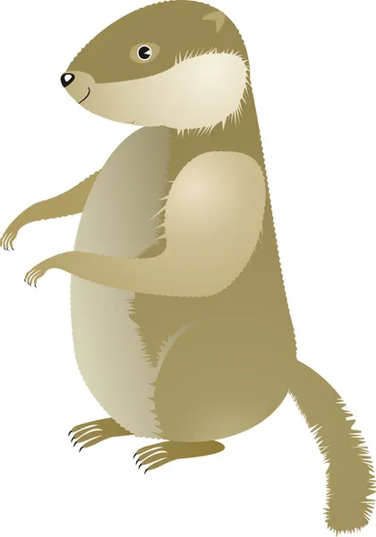 Marmota — Archivo Imágenes Vectoriales