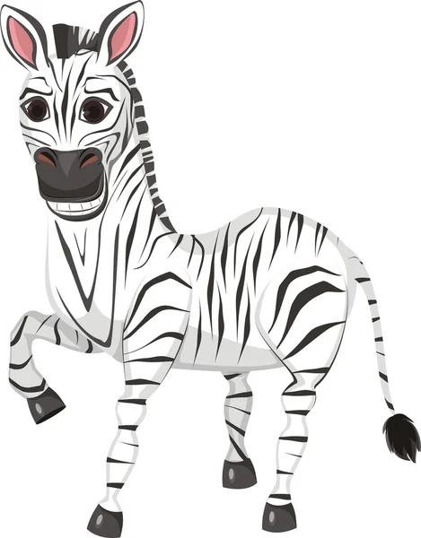 stock vector Funny Zebra