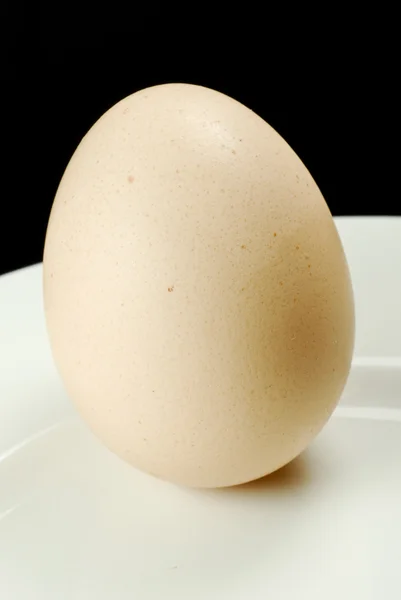 Egg on black — Stock Photo, Image