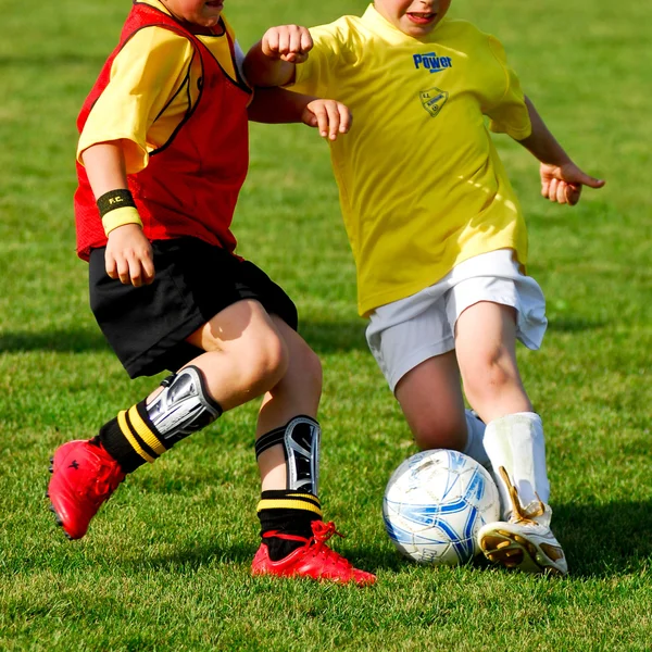 stock image Soccer