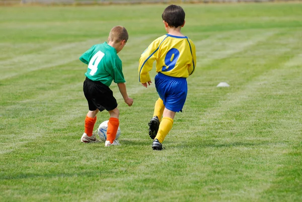 stock image Soccer