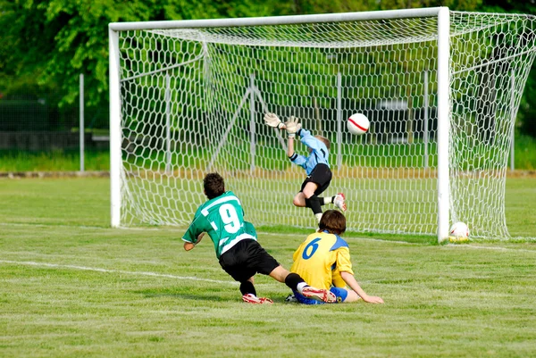 stock image Soccer