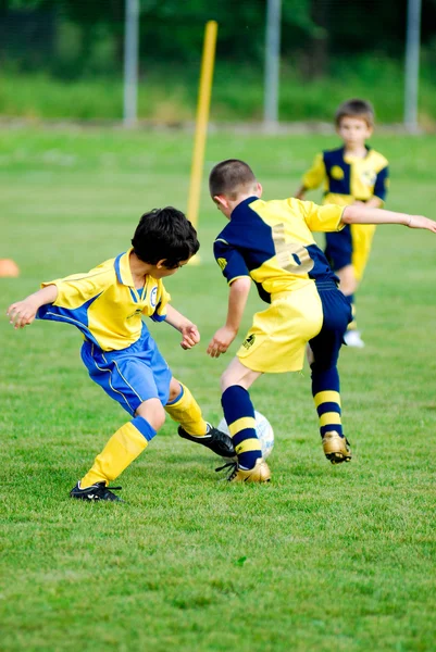 stock image Soccer