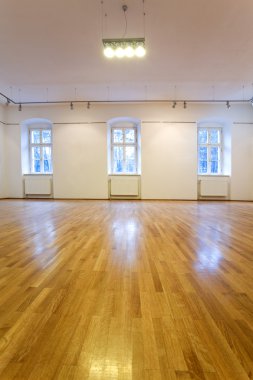 Empty art gallery with blank walls