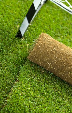 Turf grass roll on sport field - closeup clipart