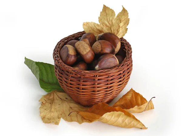 Stock image Chestnuts in a basket with autumn leaves