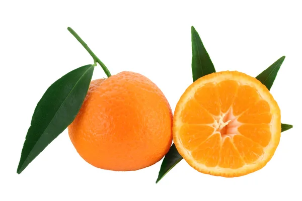Мандарин оранжевый - цитрусовая сетчатка — стоковое фото