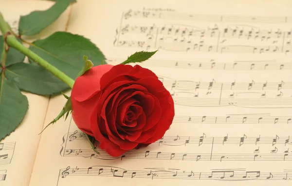 Old sheet music with rose — Stock Photo, Image