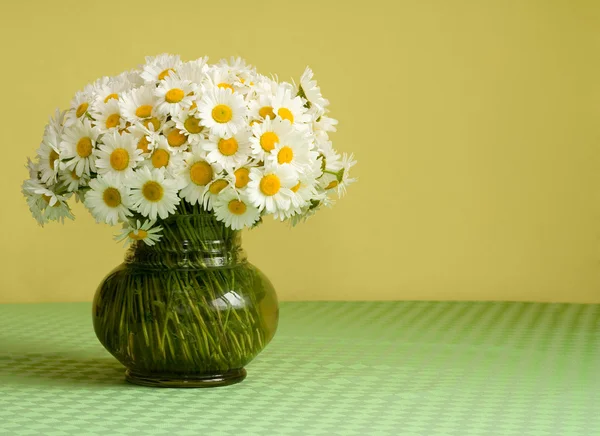 stock image Big daisy bouquet in a vase