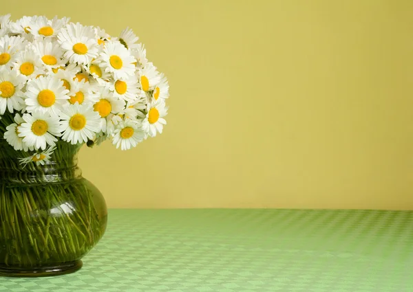 stock image Daisy bouquet in a vase