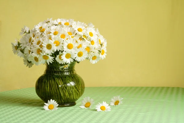 stock image Rich daisy bouquet on the table