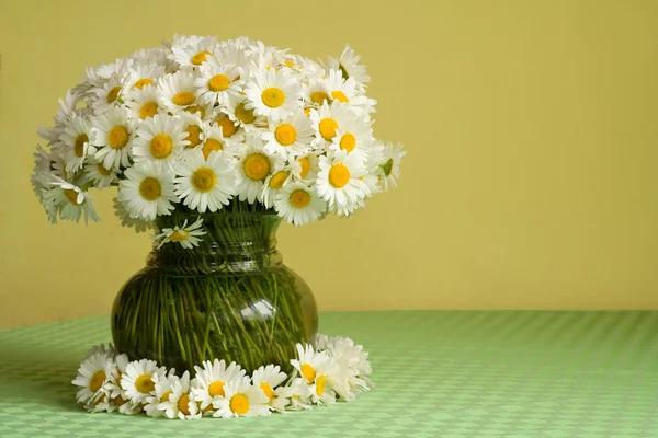 stock image Daisies in a vase and a wreath