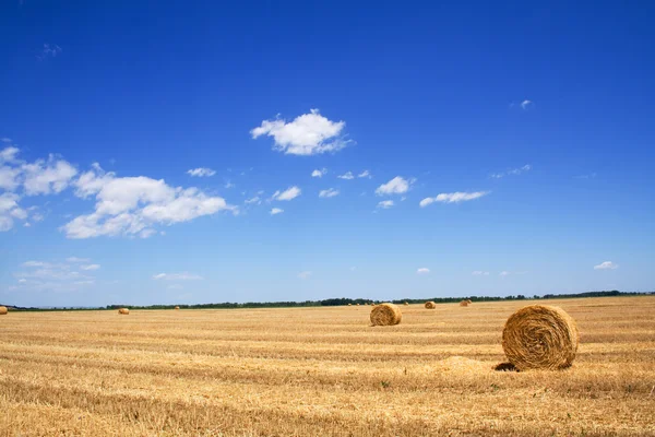 stock image Wide stubble field with hay bales