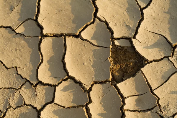 가뭄 퍼즐 — 스톡 사진