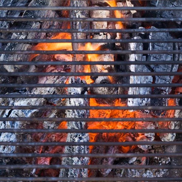 Barbecue Griglia — Foto Stock
