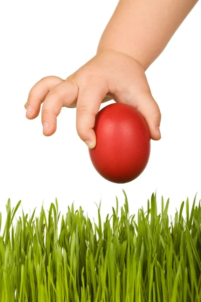 Çocuk el ile yeşil çim üzerinde kırmızı Paskalya yortusu yumurta — Stok fotoğraf