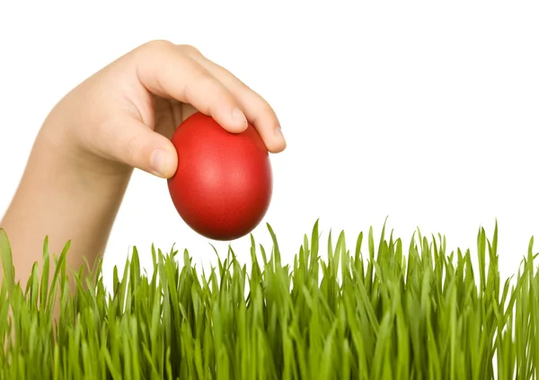 Gyermek kezét piros húsvét tojás, mint zöld fű — 스톡 사진