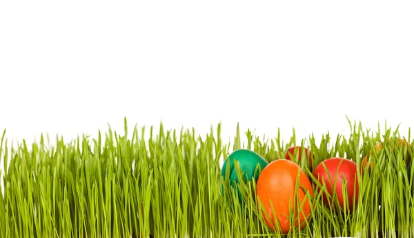 新鮮な緑の芝生での復活祭の卵 — ストック写真