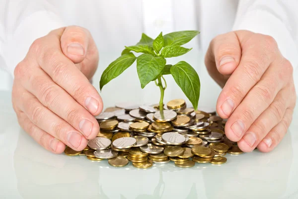 Protecting a good investment and making money concept — Stock Photo, Image