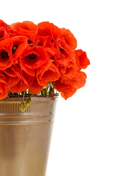 stock image Red flowers in metallic bucket