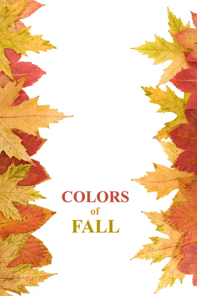 Herbstblätter rahmen Kopierraum ein — Stockfoto