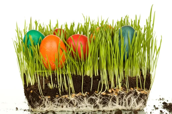 Huevos de Pascua en hojas de trigo fresco —  Fotos de Stock