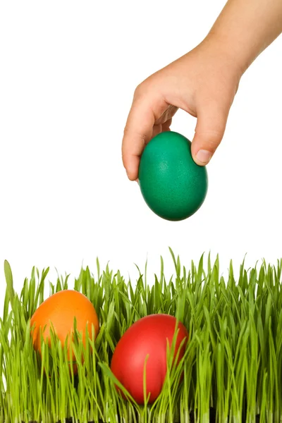 Mano de niño poniendo coloridos huevos de Pascua en la hierba - aislado — Foto de Stock