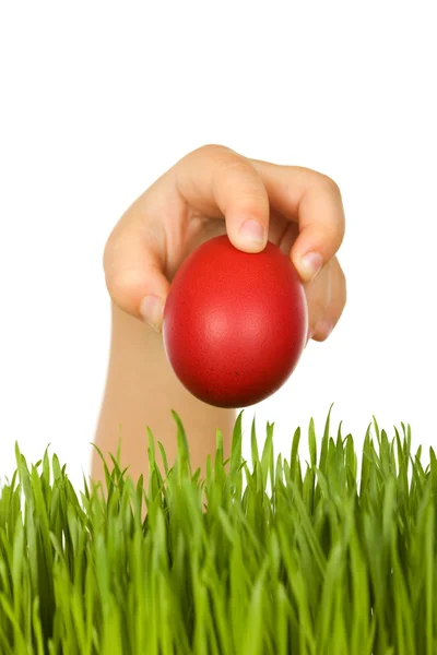 Mão de criança com ovo de Páscoa vermelho sobre grama verde — Fotografia de Stock