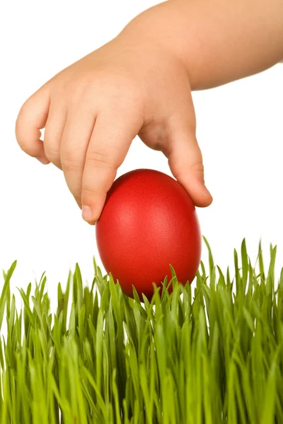 Kid hand holding red easter egg over green grass — Stock Photo, Image