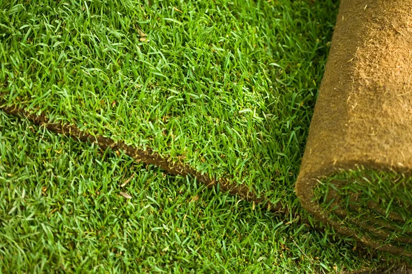 Darń trawy rolki tło — Zdjęcie stockowe