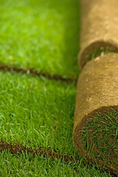 Darń trawy w rolkach — Zdjęcie stockowe