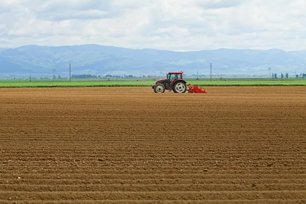 Сільське господарство - трактор, що сіє картоплю — стокове фото