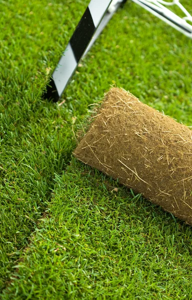 Каток травы на спортивном поле - крупный план — стоковое фото