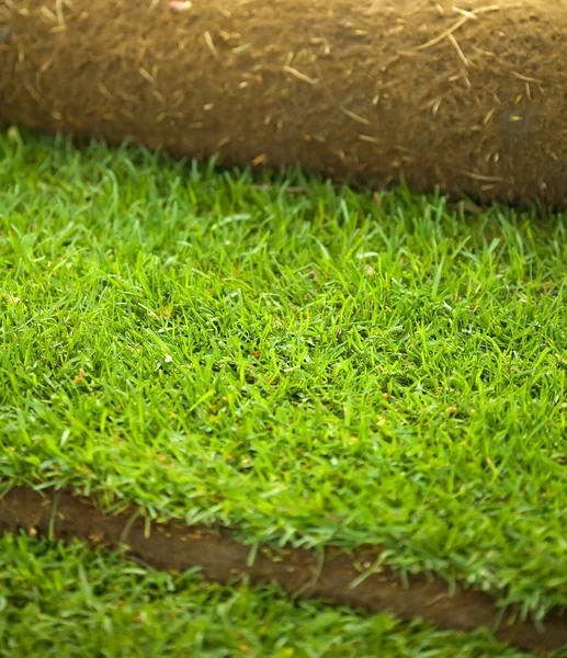 Gazon rouleau d'herbe gros plan — Photo