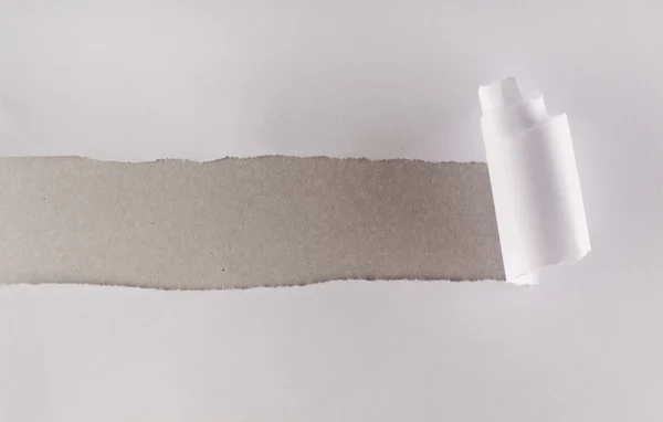 Carta bianca strappata rivelando strato di cartone grigio — Foto Stock
