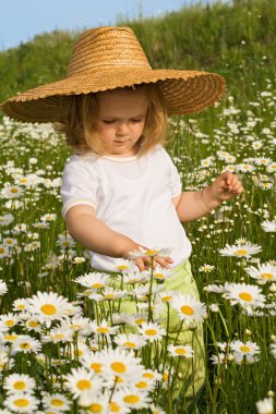 Little girl on the daisy field clipart