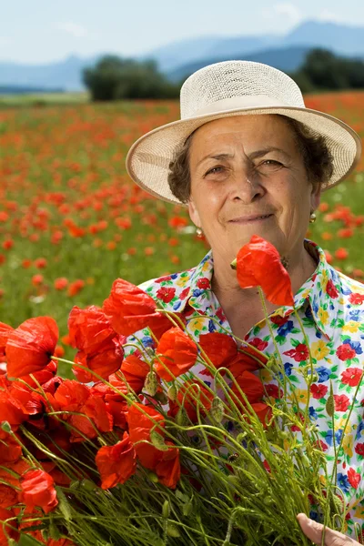 stock image Senior woman picking flowers on the poppy field