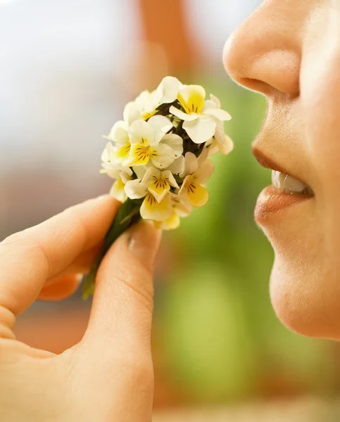 stock image Woman smelling the flowers