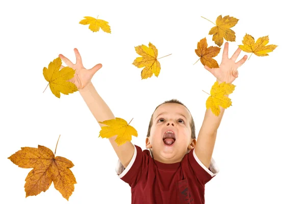 Счастливый мальчик тянется к осенним листьям — стоковое фото