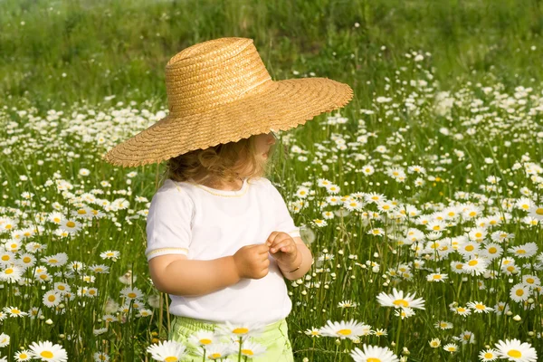 Маленька дівчинка на ромашковому полі — стокове фото