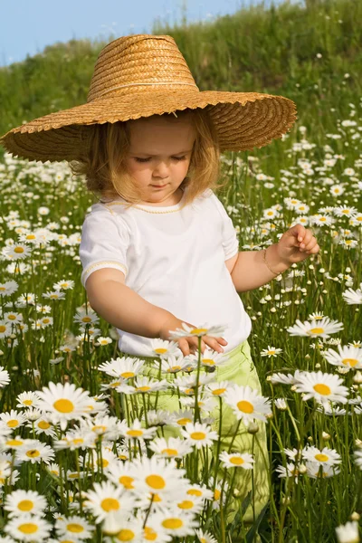 Little girl on the daisy field — Stock Photo, Image